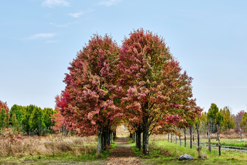 autumn in the hudson valley, auberge collection