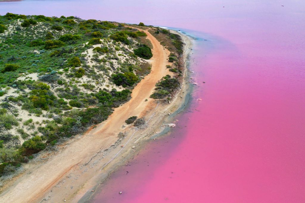 hutt lagoon lake