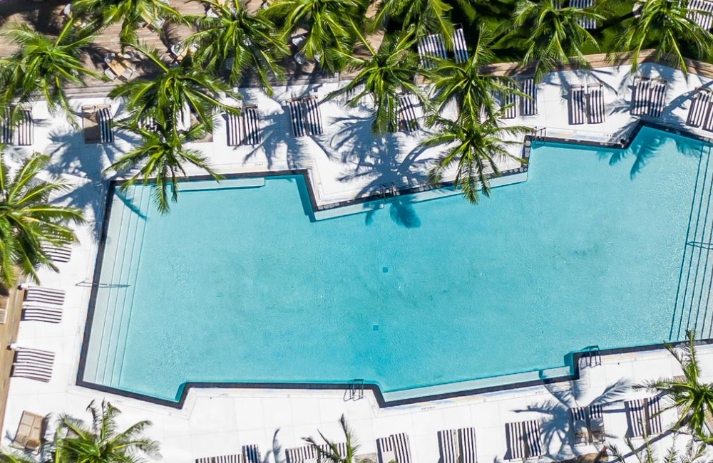 W South Beach pool surrounded by palm trees and sun chairs