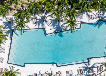 W South Beach pool surrounded by palm trees and sun chairs