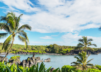 palm trees surrounding a lagoon in Maui