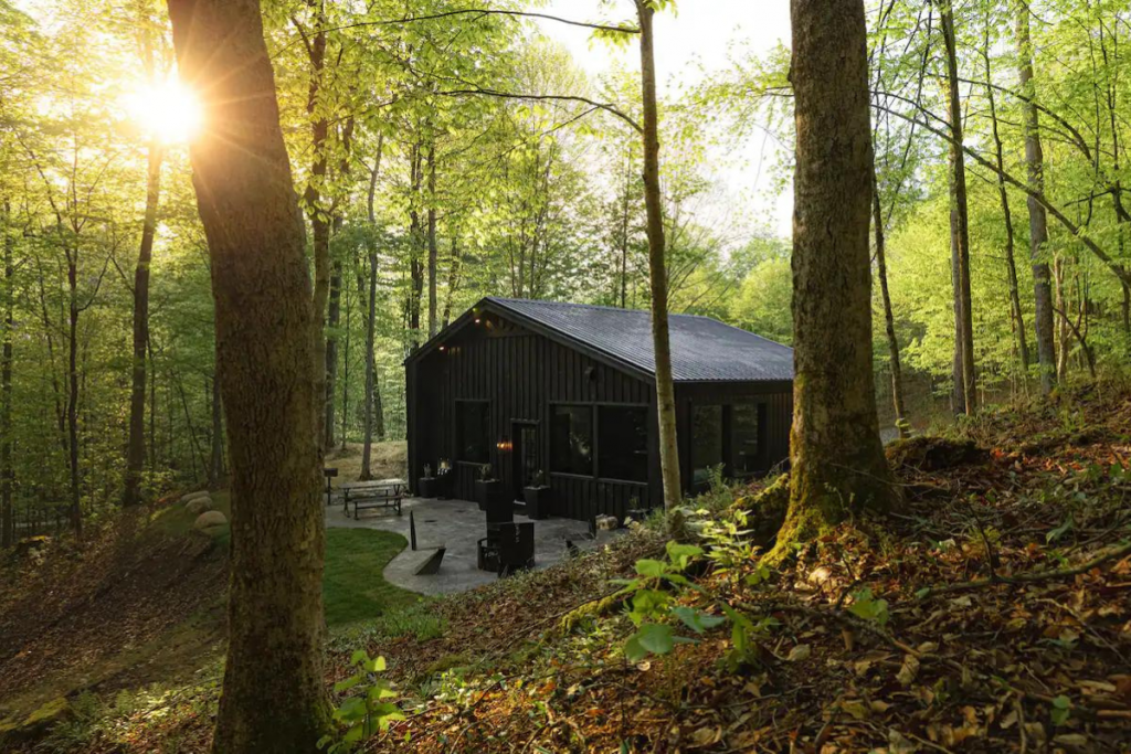 A Tiny Adirondacks Airbnb Tucked Into a Forest With the Sun Shining Through the Trees.