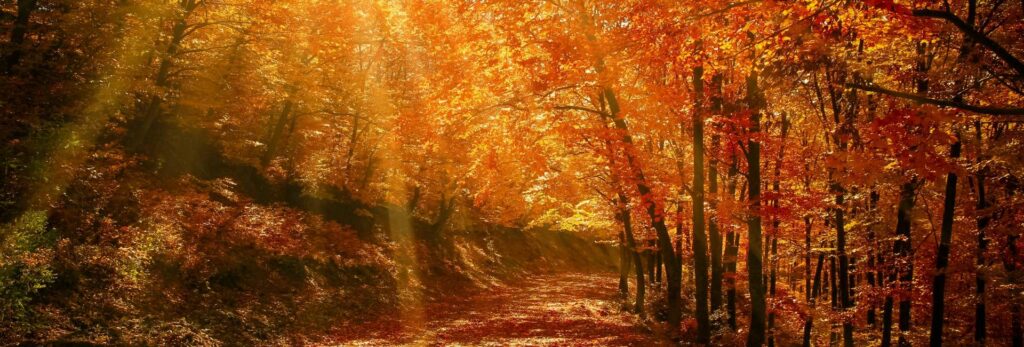 The Coziest Fall Foliage Getaways on the East Coast