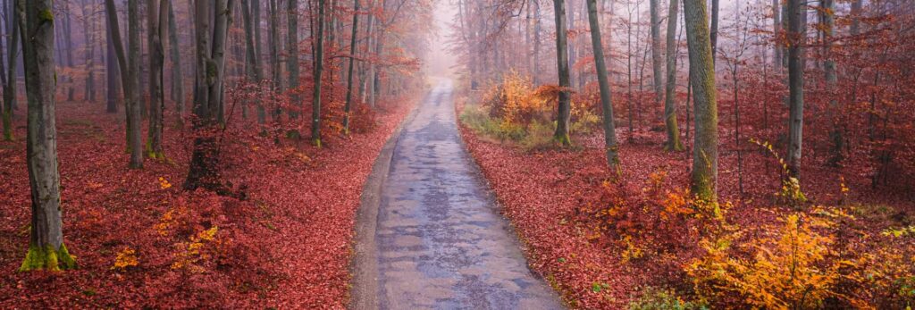 Best Scenic Drives to Take From NYC