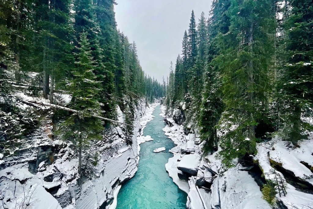 numa falls canyon in kootenay national park