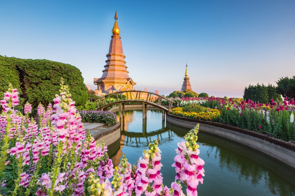 thailand river with flowers surrounding 