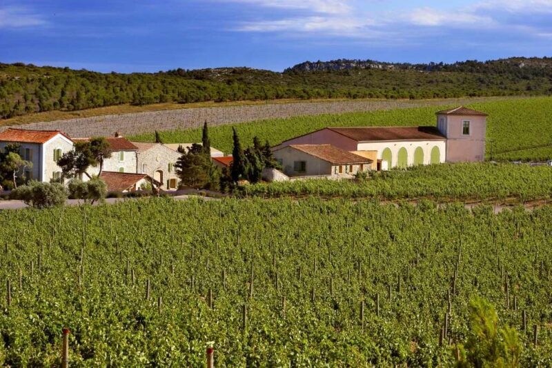 Best Rose Wine Regions in France Travel Curator