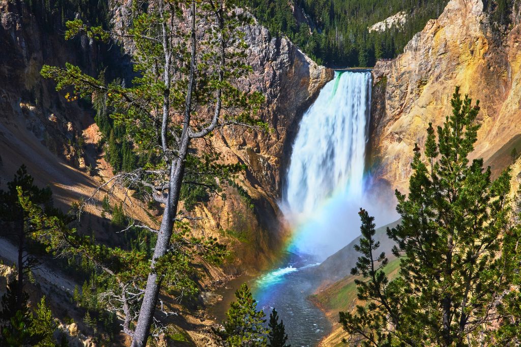 yellowstone national park, wyoming, united states
