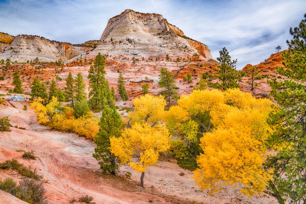 zion national park, utah, united states