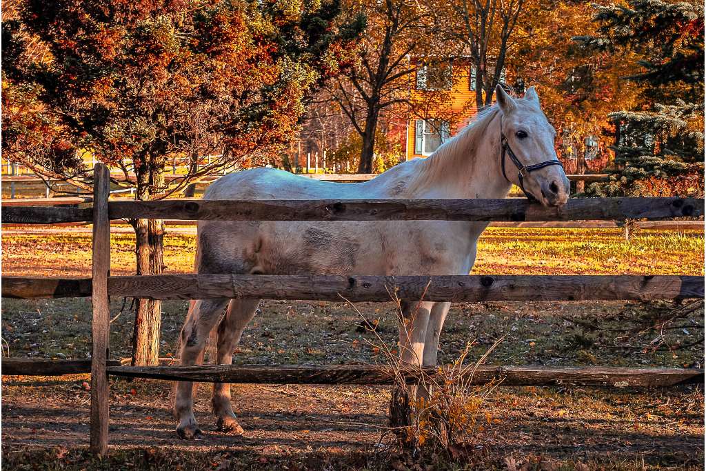 Bucks County, Pennsylvania in the fall