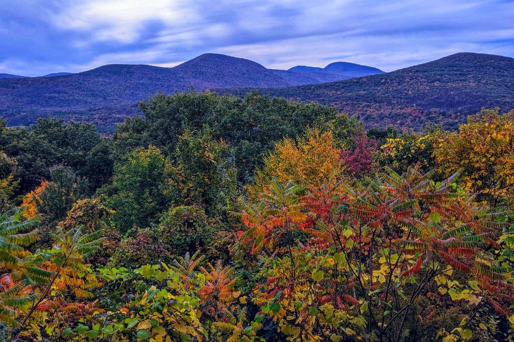 Fall foliage in The Catskills New York