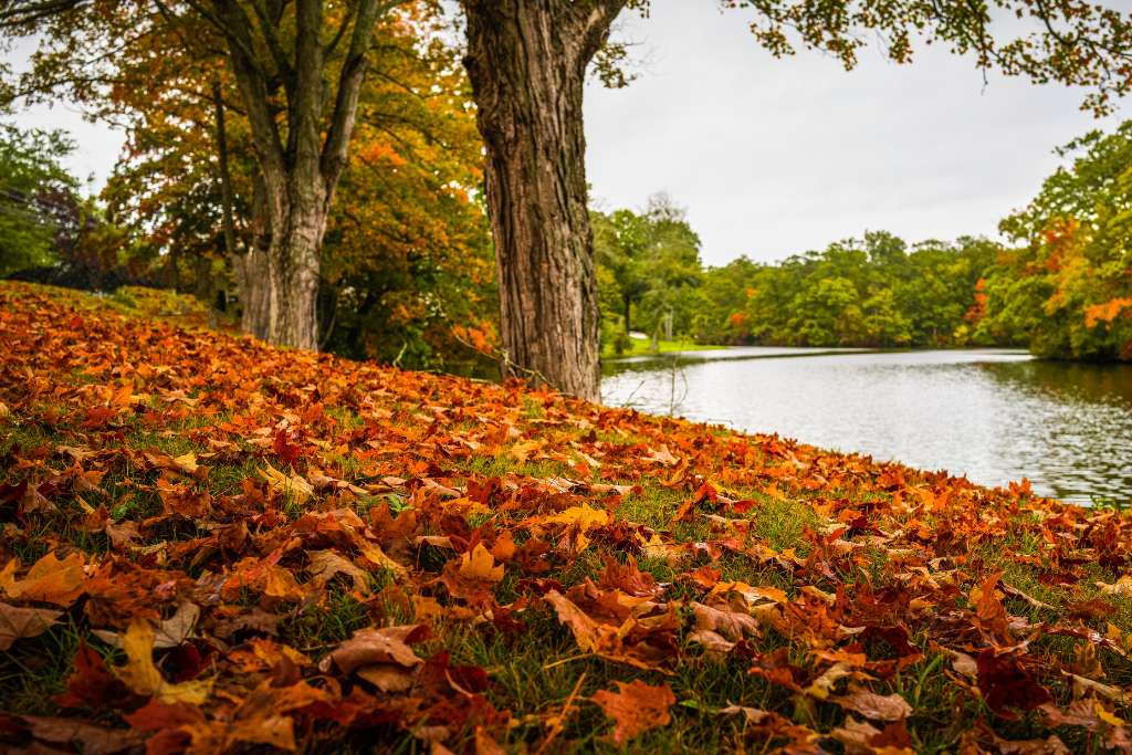 New Haven Connecticut in the fall