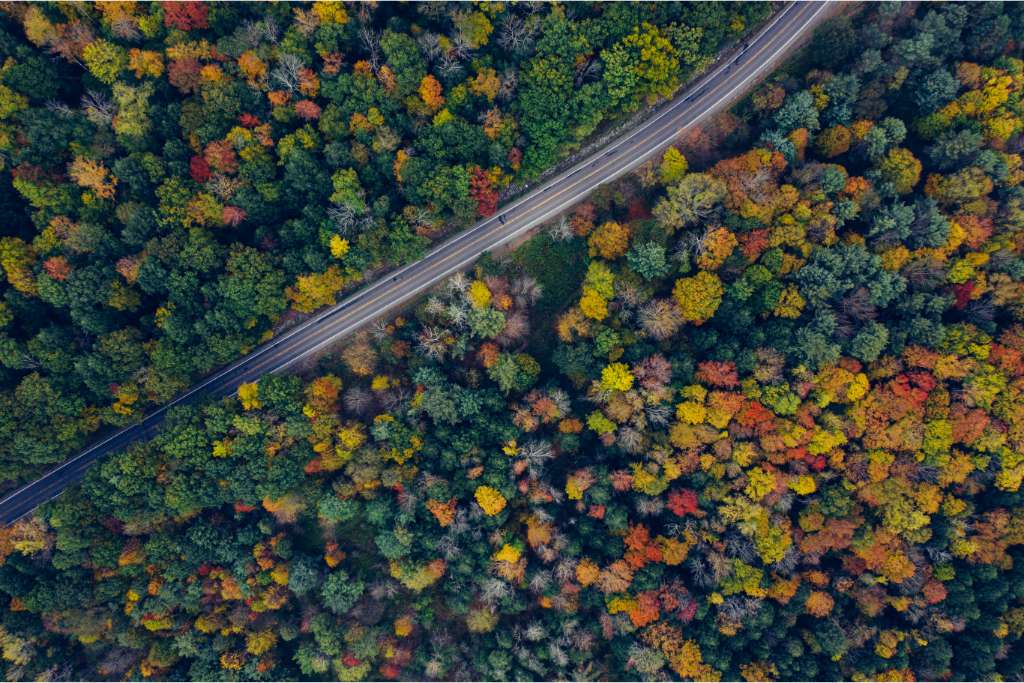 Aerial view of The Catskills in autumn