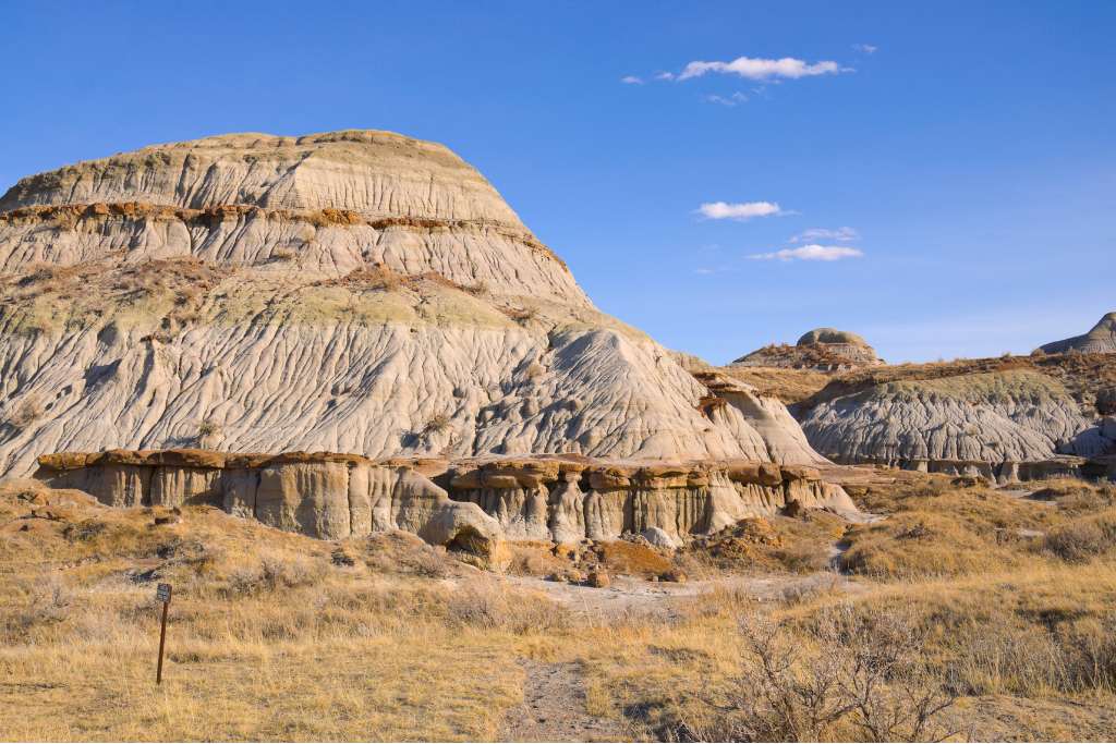 Dinosaur Provincial Par