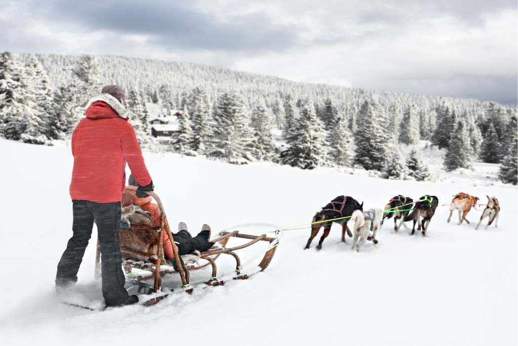 Yukon, Dogsledding