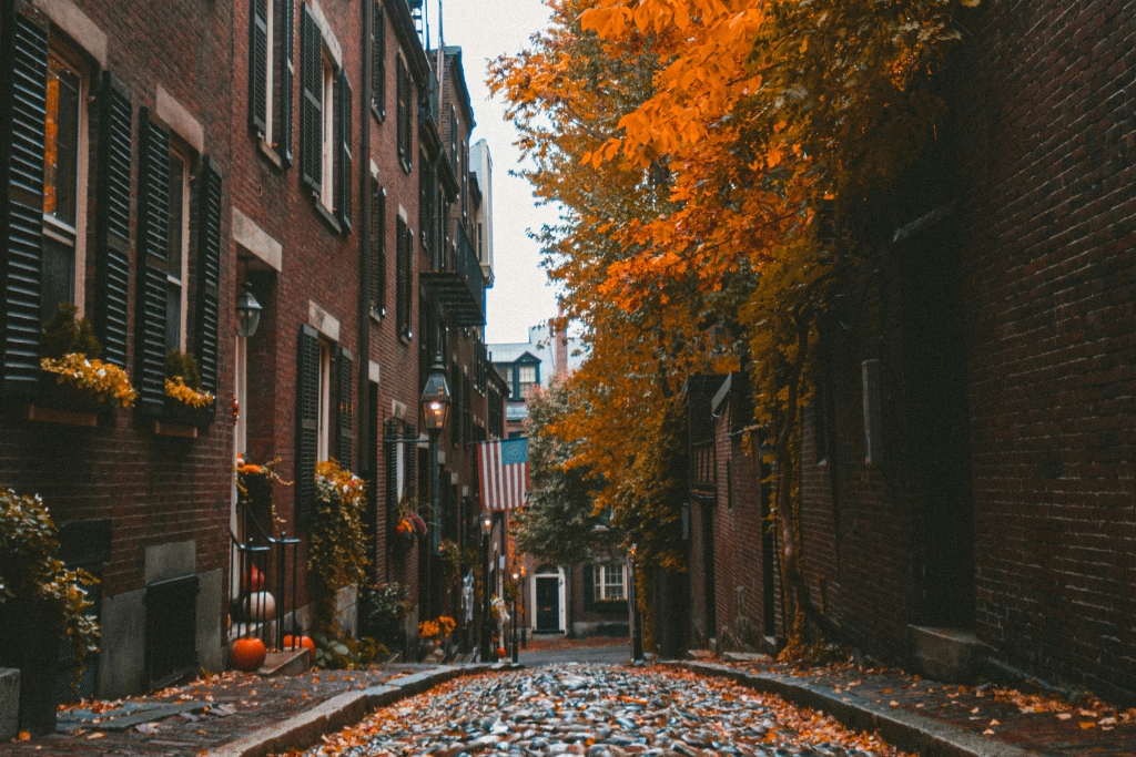 leaf-strewn Boston street in autumn.