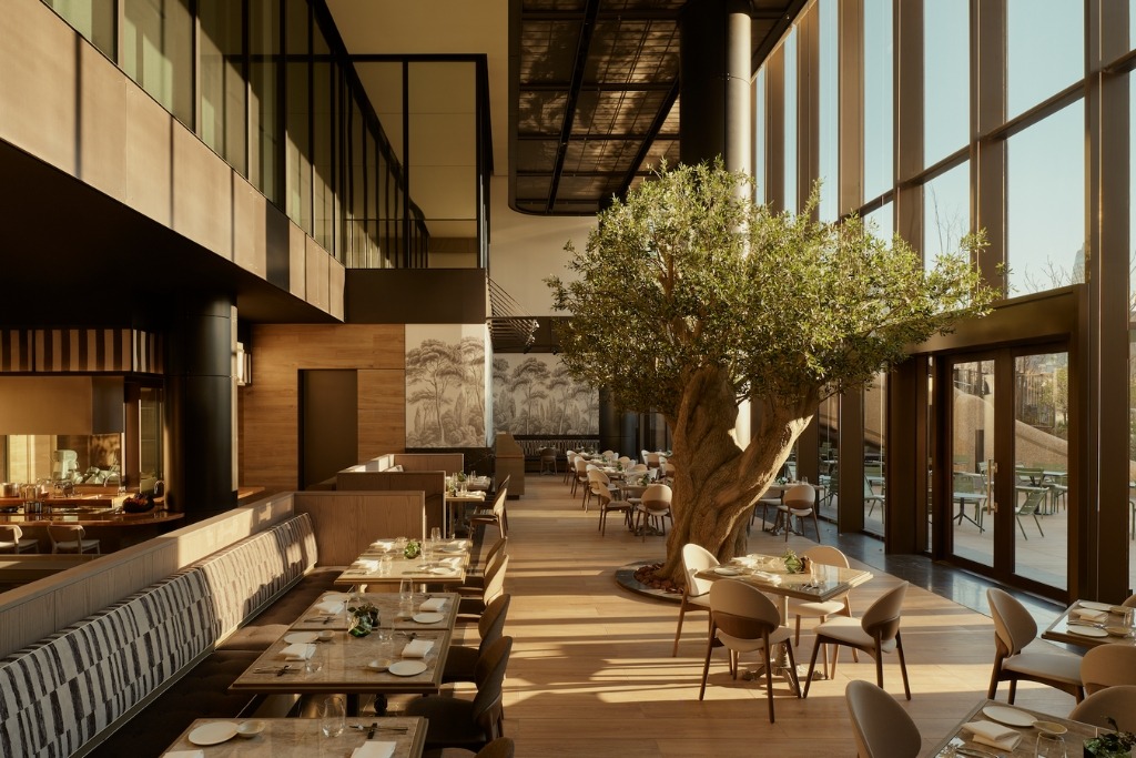 a restaurant with tables and a tree in the middle that has a natural glowing lighting due to the wall of windows