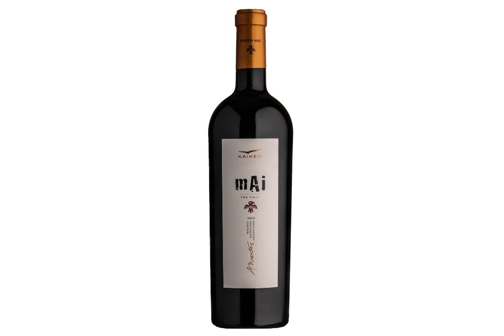 2021 kaiken mai malbec