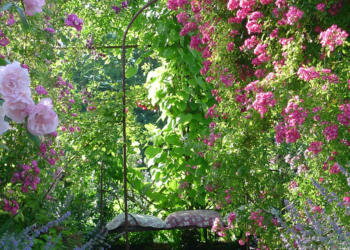 a garden full of greenery and pink flowers in France