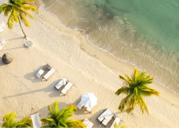 overhead shot of a beach with palm trees and white lounge furniture in Antigua