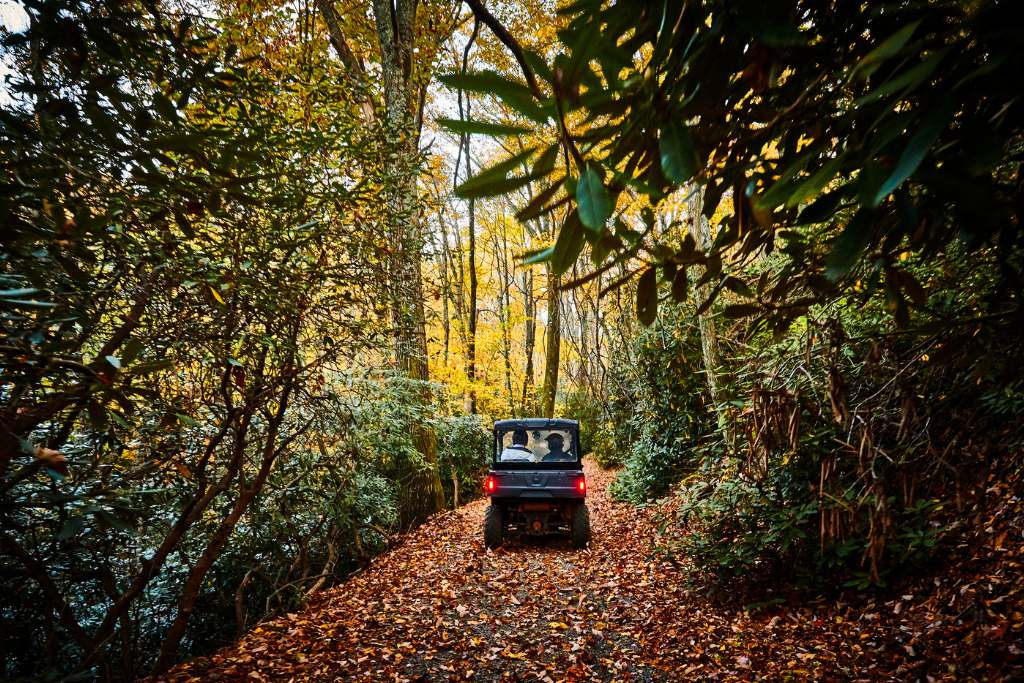 autumn excursions at the lodge at primland, auberge collection