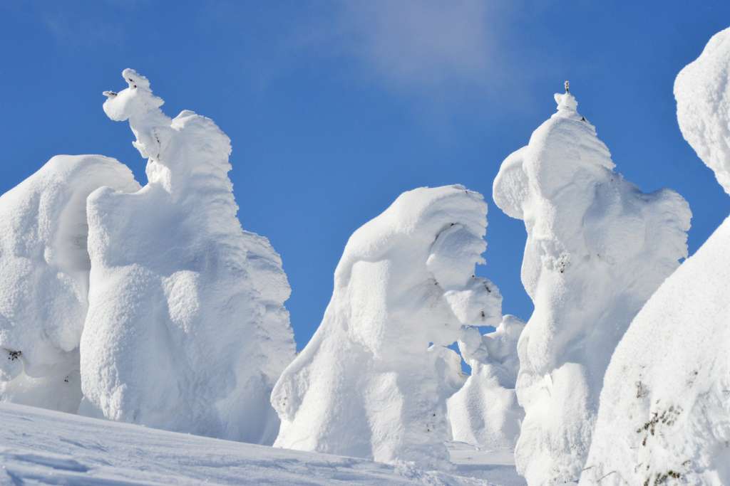 frozen trees take on the look of snow monsters in mount zao