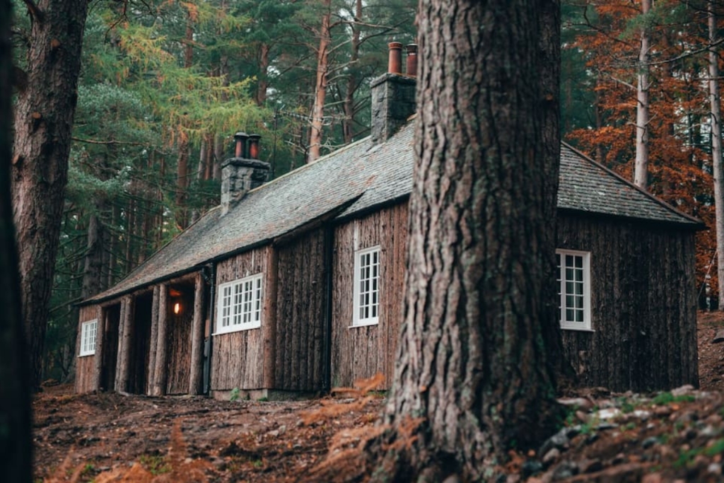 brown wood cabin in a forest in scotland and foliage 