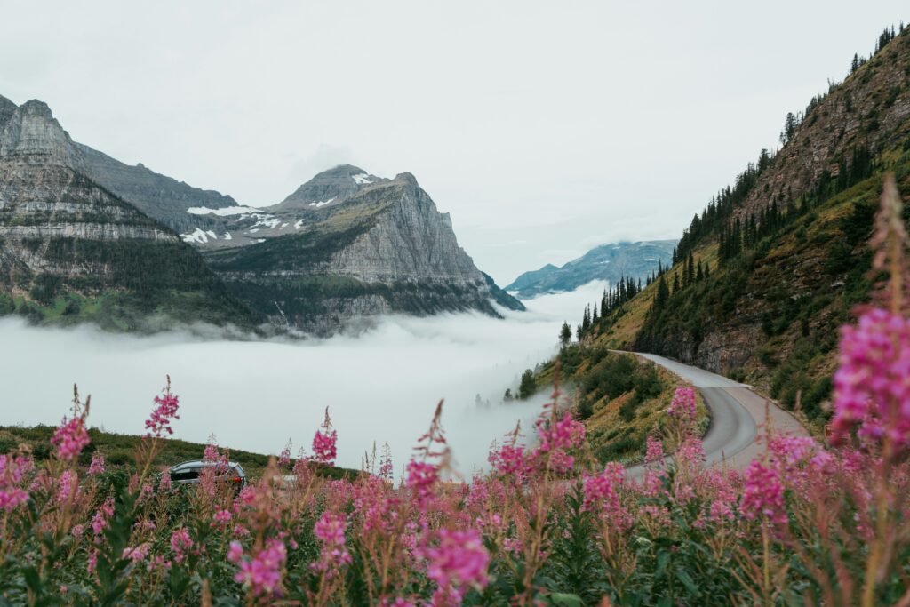 misty shot of going to the sun road