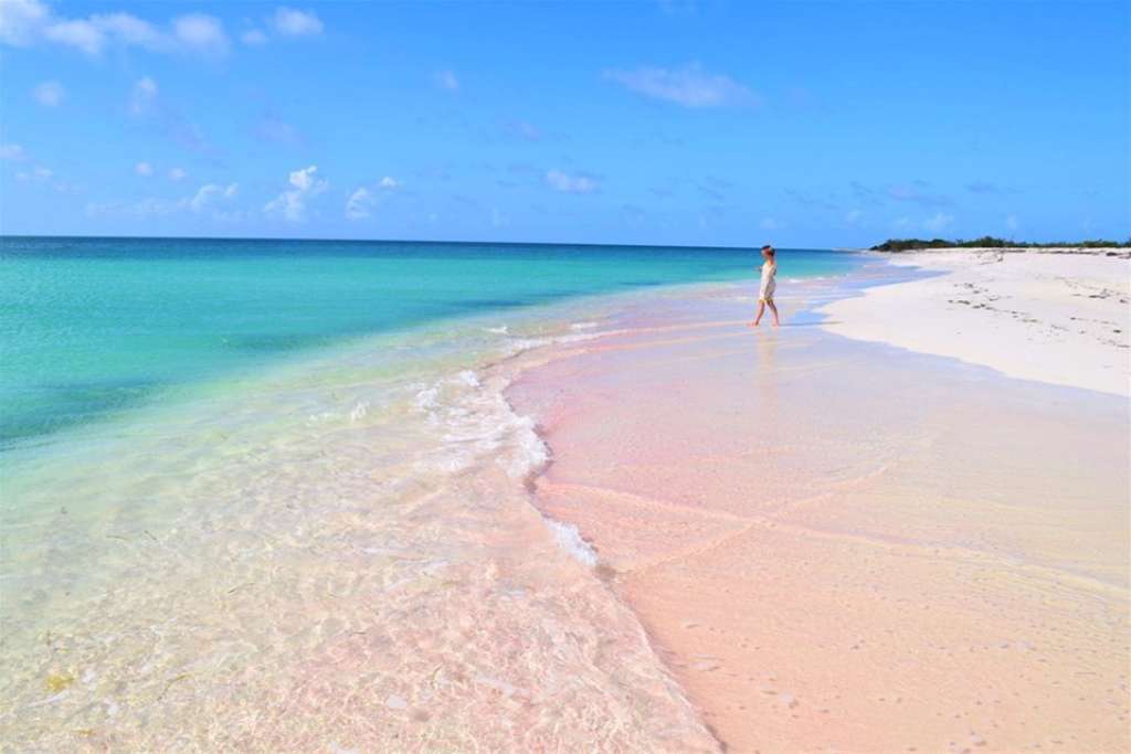 barbuda is known for its pink-sand beaches much loved by princess diana
