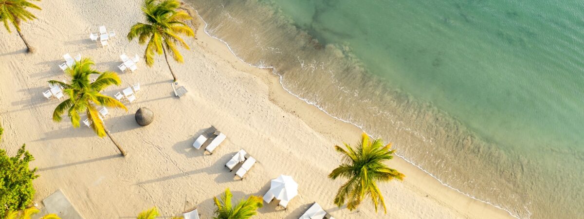 beach, antiuga, palm trees drone view