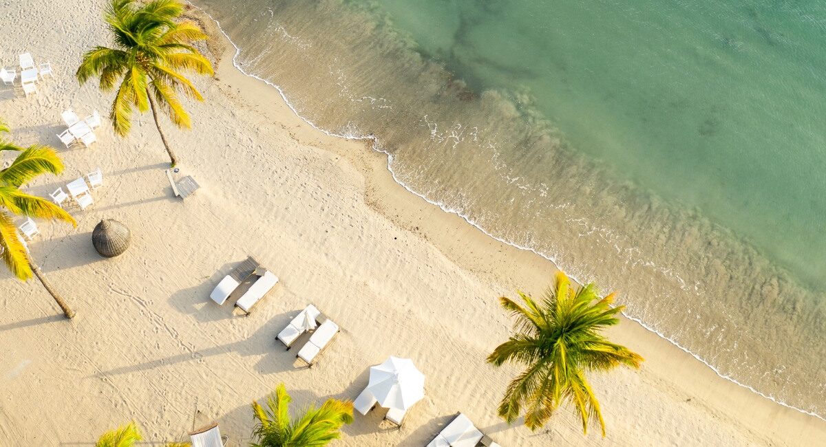 beach, antiuga, palm trees drone view