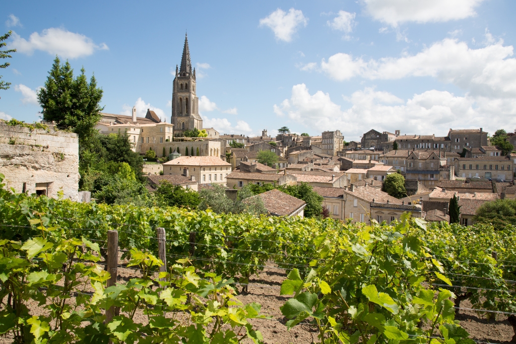 landscape view of saint emilion in bordeaux with a vineyard in front