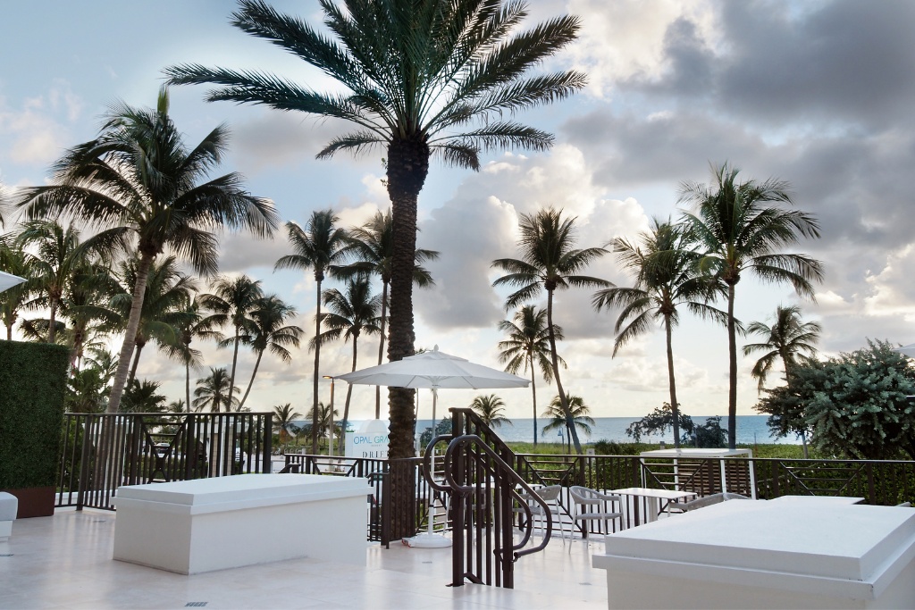 tammy fender delray spa florida