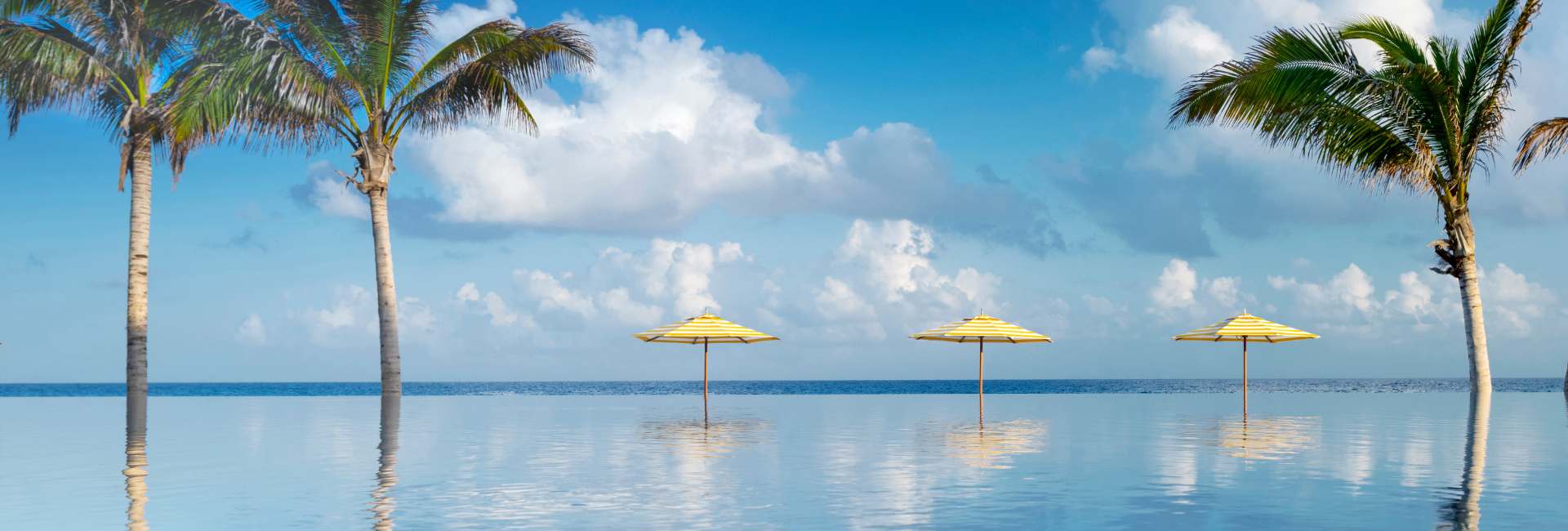 Half Moon in Jamaica Hotel Review – Travel Curator
