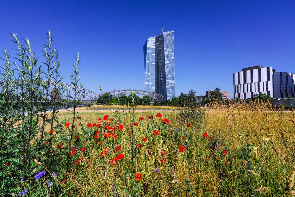 the contrast of skyscraper and field in frankfurt germany