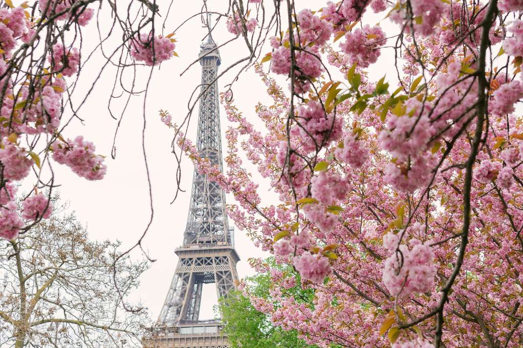 eiffel tower paris in spring