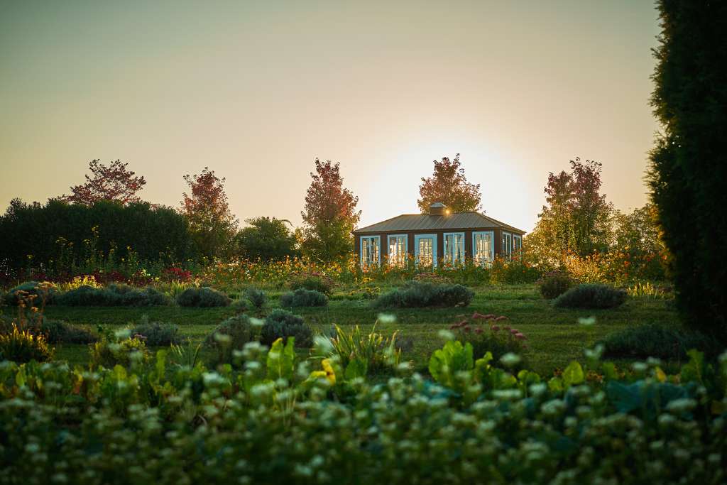 the organic farm, pendry natirar