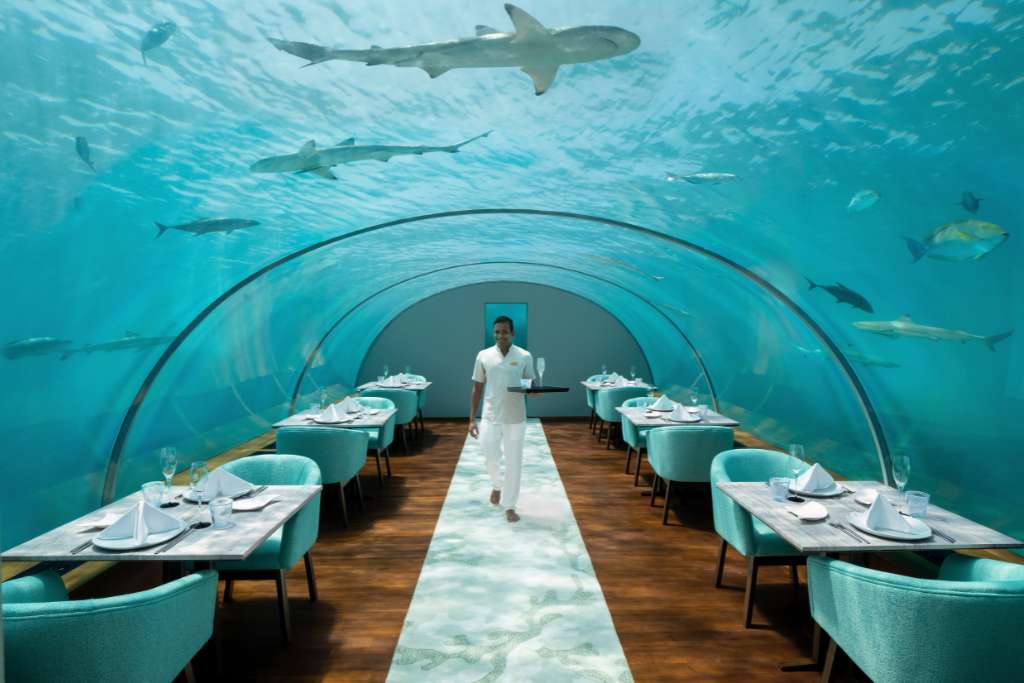 under the sea restaurant Conrad maldives rangali island