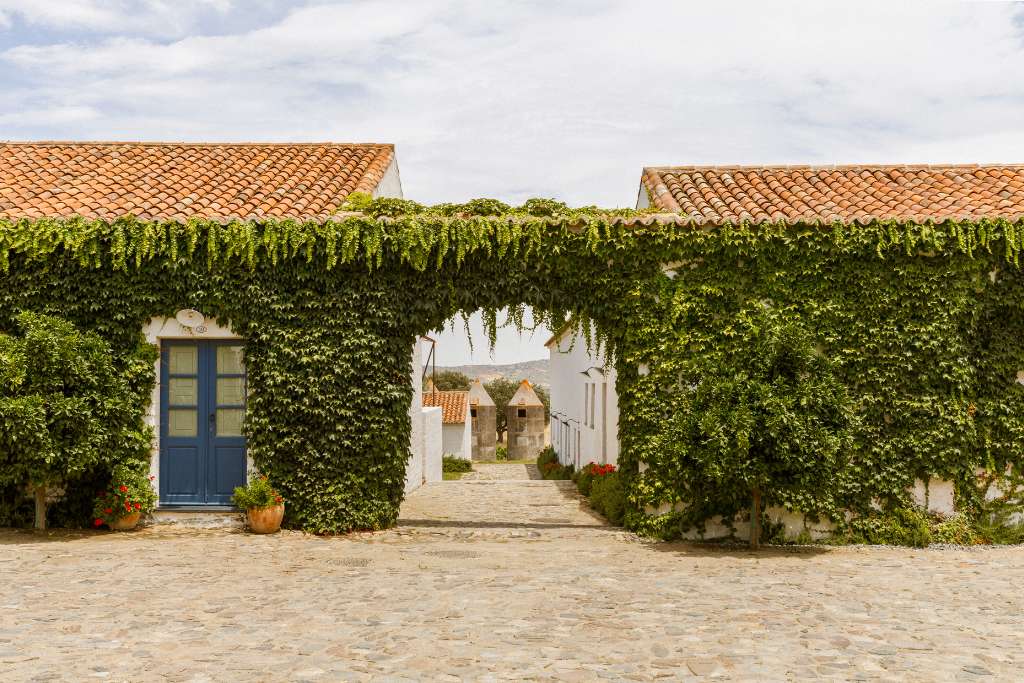 archway to the winery rooms at são lourenço do barrocal: