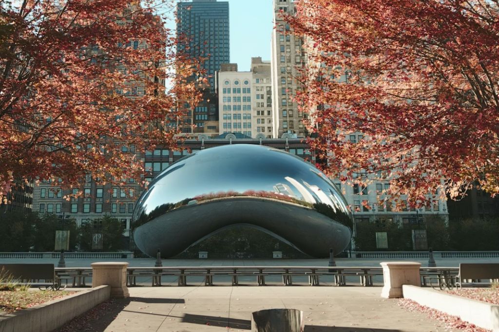 chicago bean