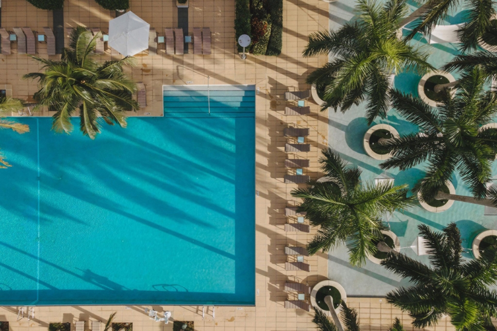 overhead view of a square blue pool and lounge chairs and palm trees in the four seasons miami