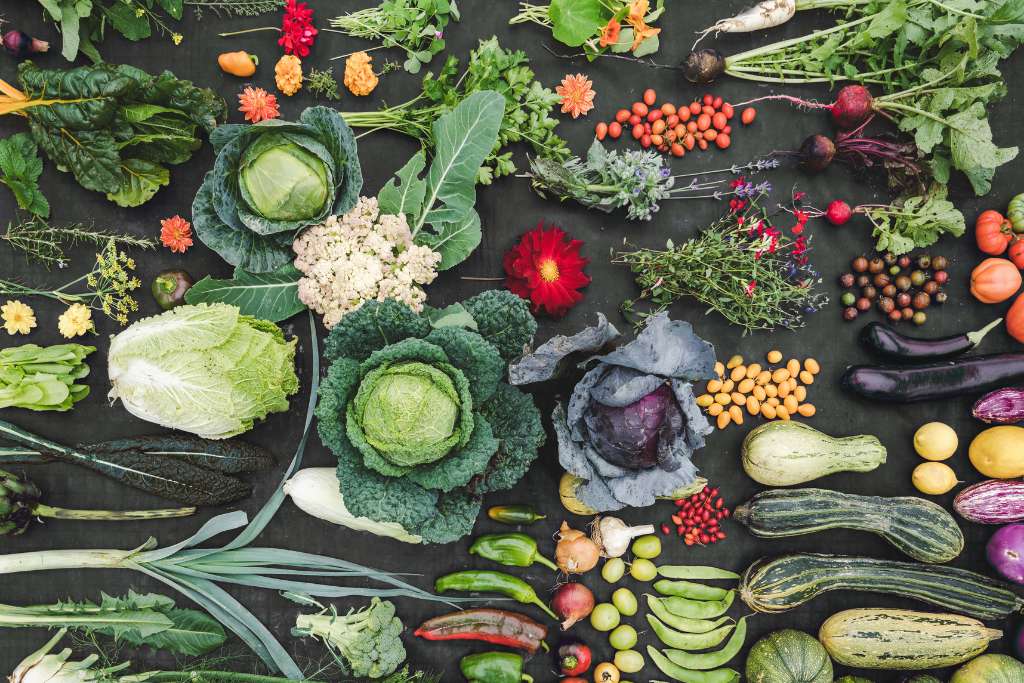harvest at borgo santo pietro