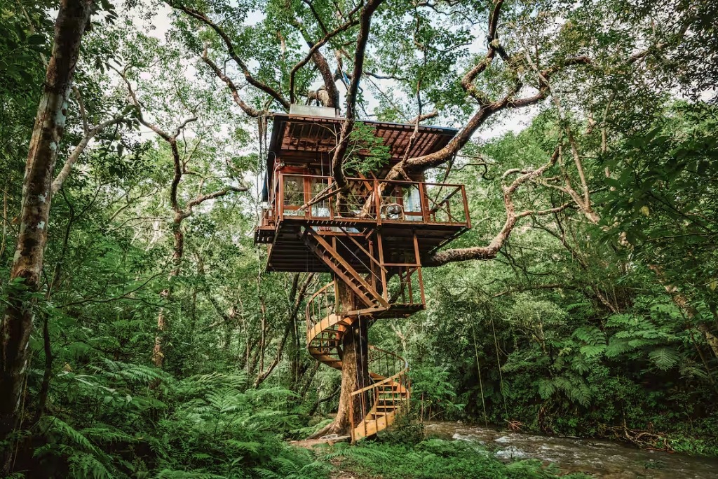 treehouse home immersed in the japanese jungle and a brown spiral staircase leading up to the living space