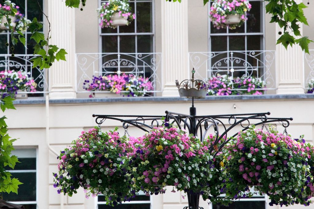 hanging flowers in cotswolds, england