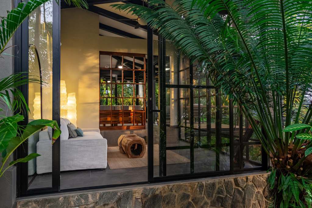 jungle downtime at vista celestial