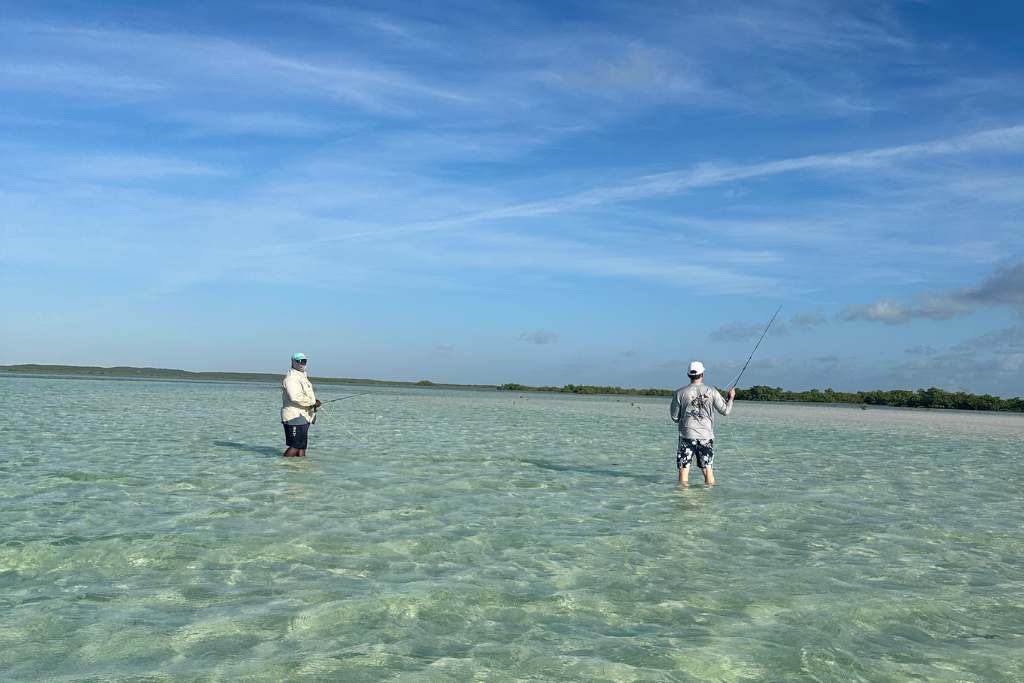 bone fishing south caicos