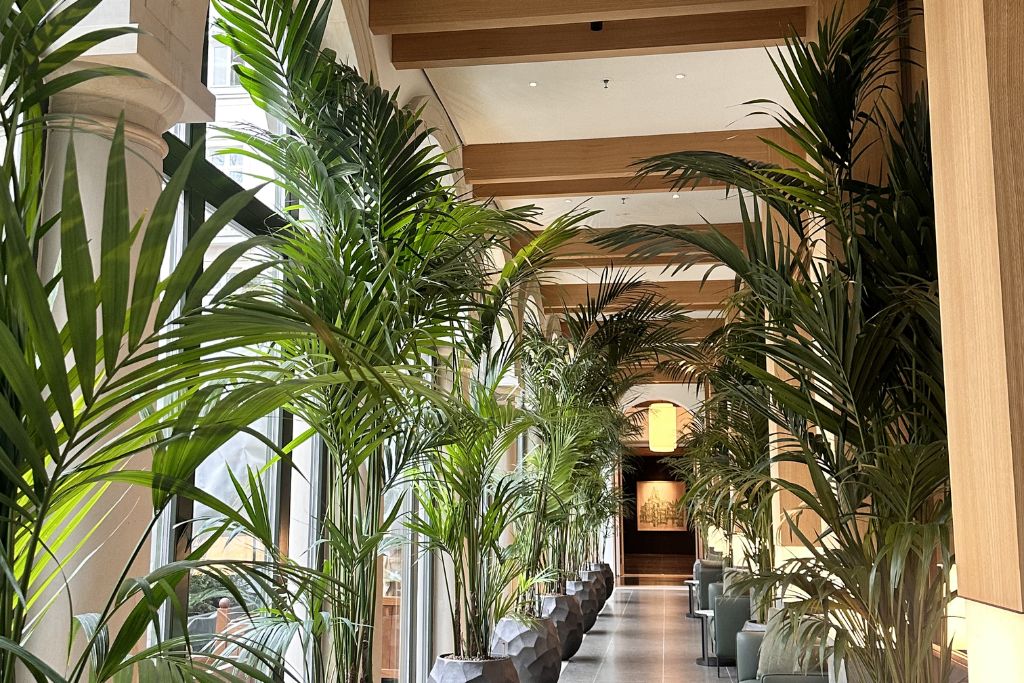 the florentin frankfurt germany hallway