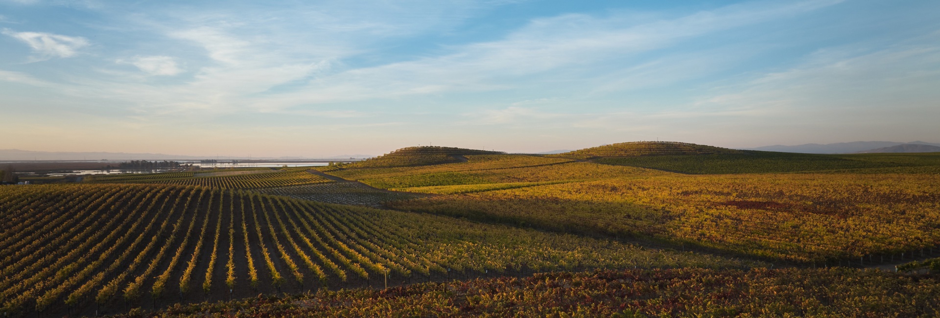 Closest to San Francisco, Far from Ordinary: Bouchaine Vineyards