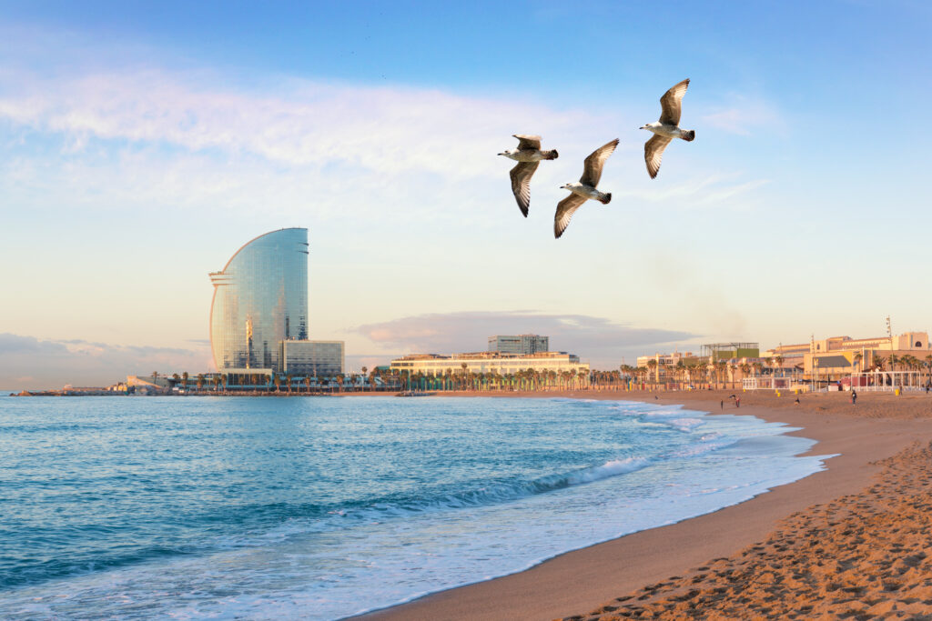 la barceloneta beach barcelona