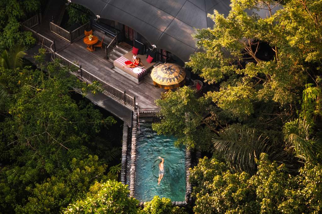 treetop suite with pool at capella ubud